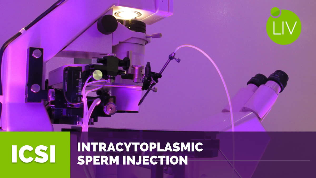 ICSI Puerto Vallarta, LIV Fertility Center Mexico, Intracytoplasmic sperm injection,
