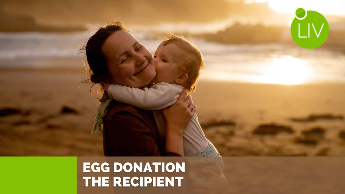 Egg Donation Cycle, The Recipient, Egg Donation, Liv Fertility Center, Puerto Vallarta, Mexico