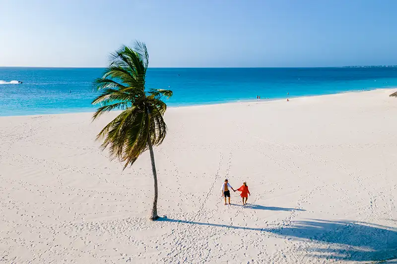 eagle-beach-aruba-palm-trees-on-the-shoreline