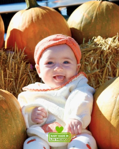 Baby Pipers First Fall